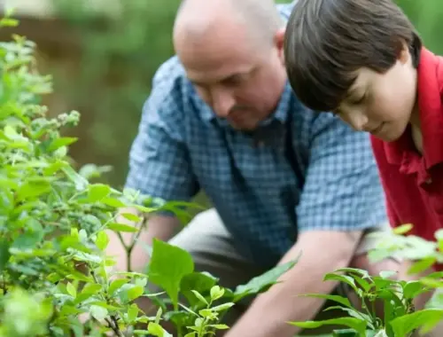 7 gode gaveideer til ham der elsker at gå i haven